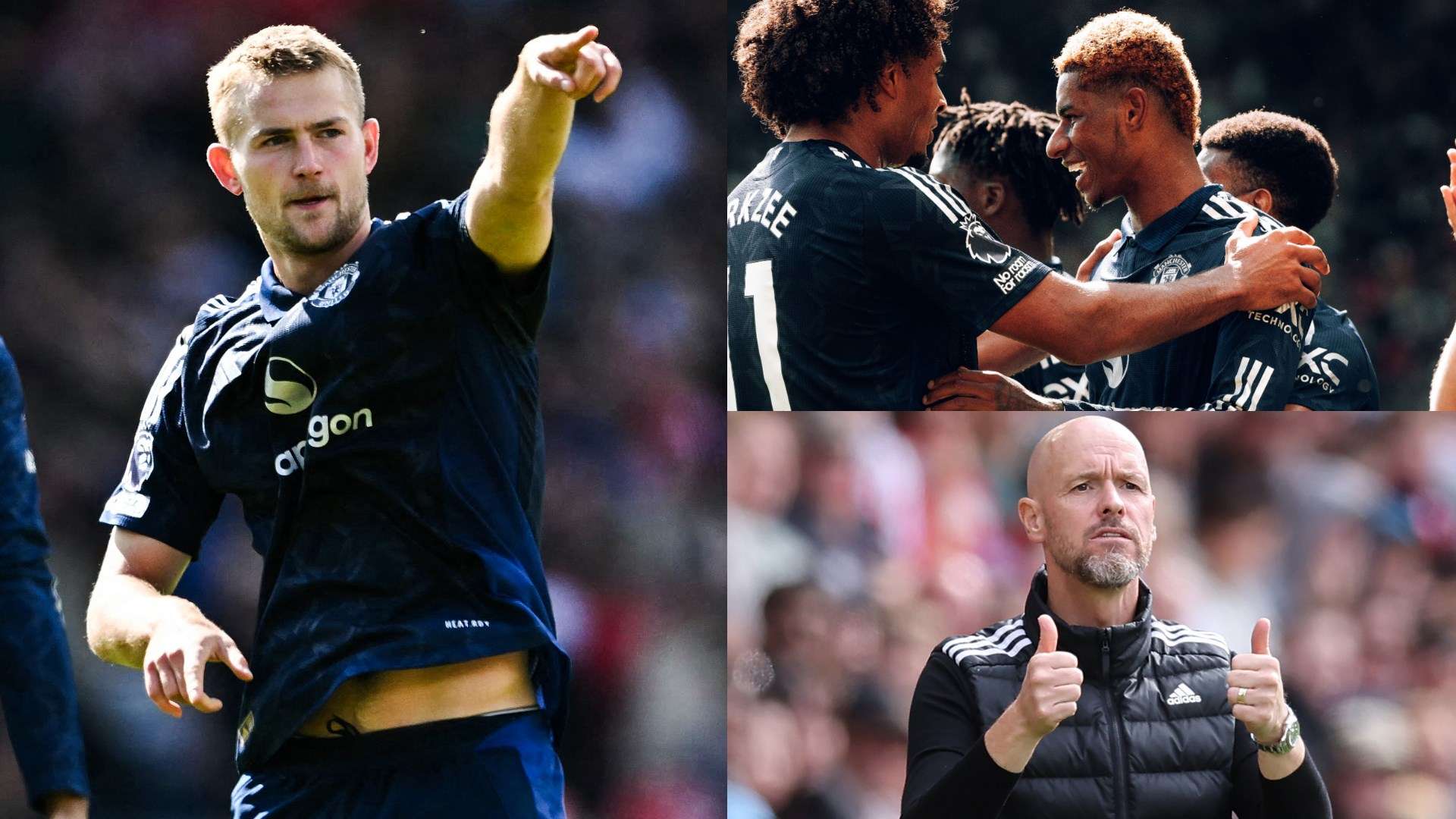 会专家迪马 会专家迪马