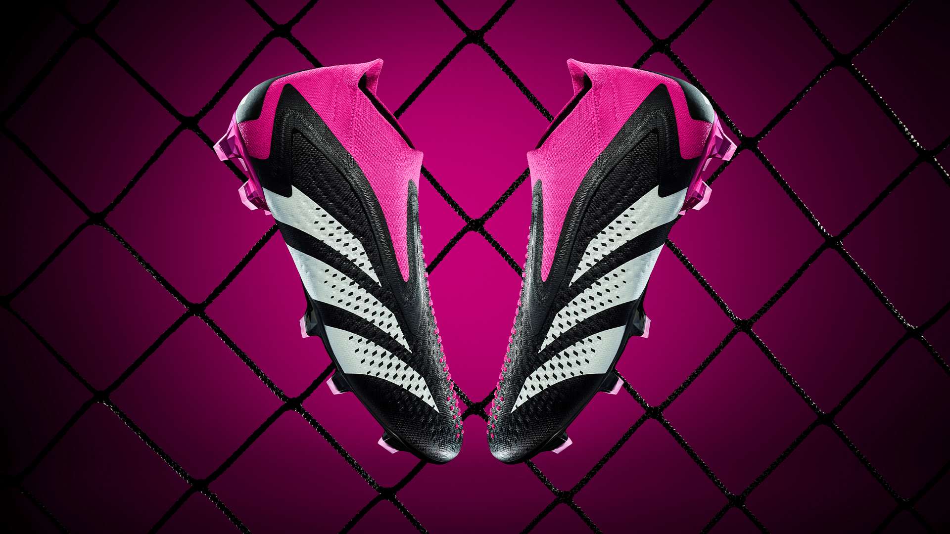 北控队的中 北控队的中