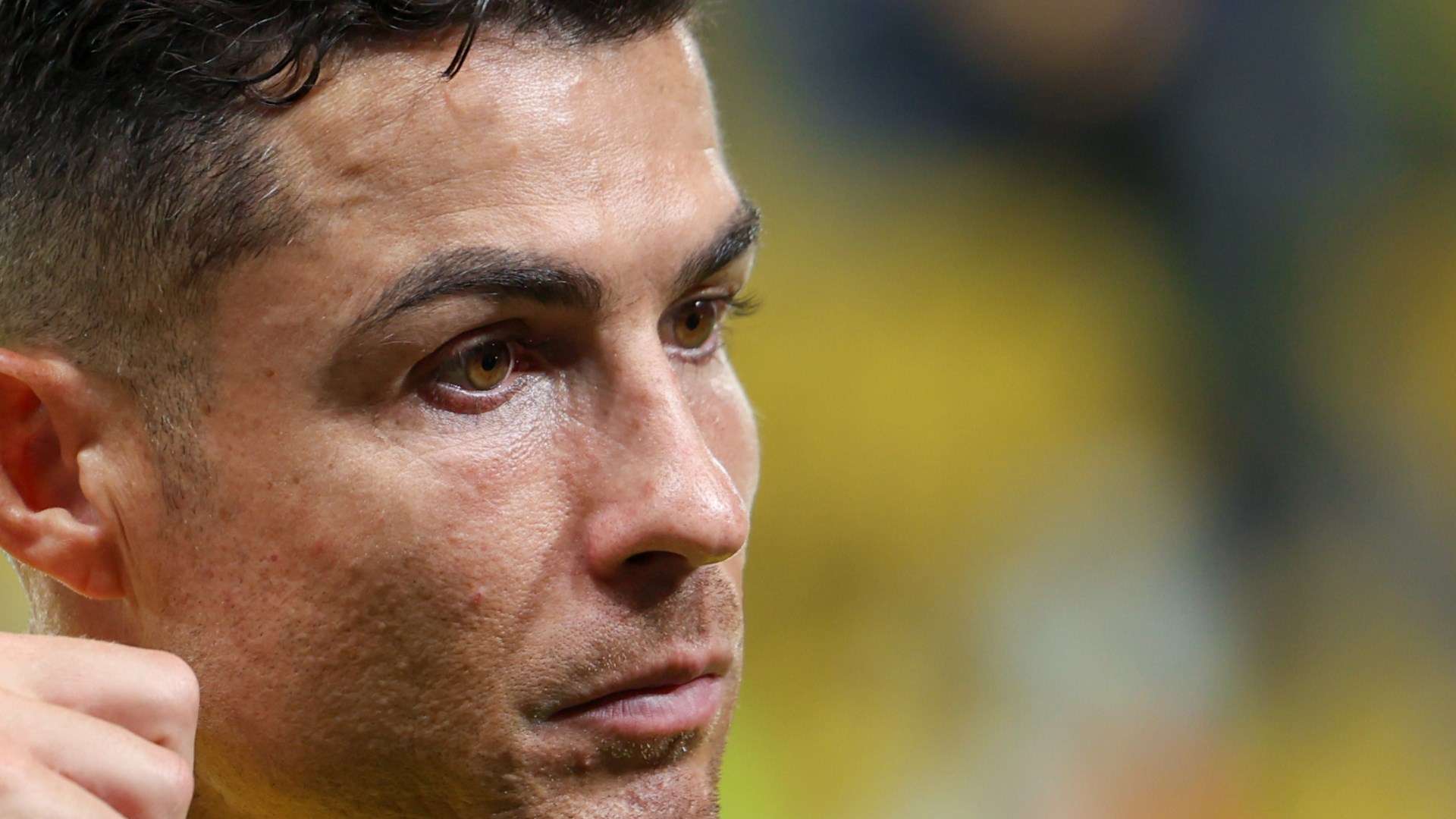 自我表現的 自我表現的